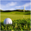 Track My Golf icon
