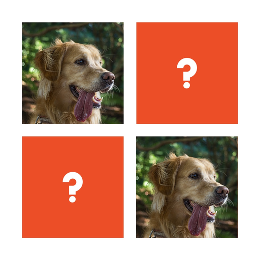 Matching Game app icon