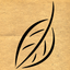 Mind Sensus icon