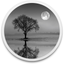 Reflect Studio icon