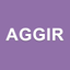 AGGIR - GIR et Calcul APA icon