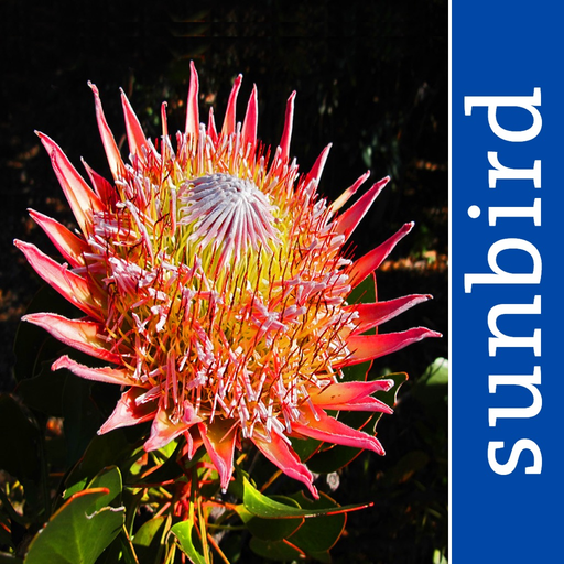 Wildflowers of South Africa app icon
