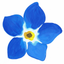 Forget Me Not - Grave Finder icon