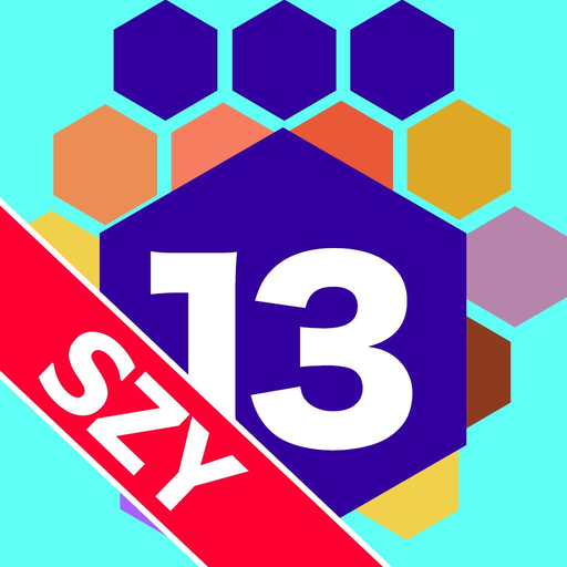 Nintengo 13 Hex by SZY app icon