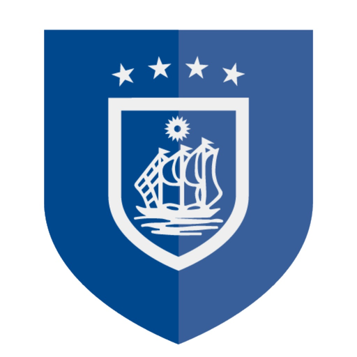 Brazaotex app icon