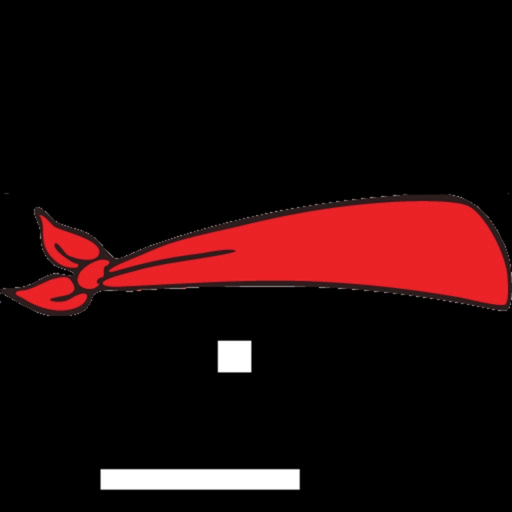 Blindfold Pong app icon