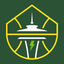 Seattle Storm icon