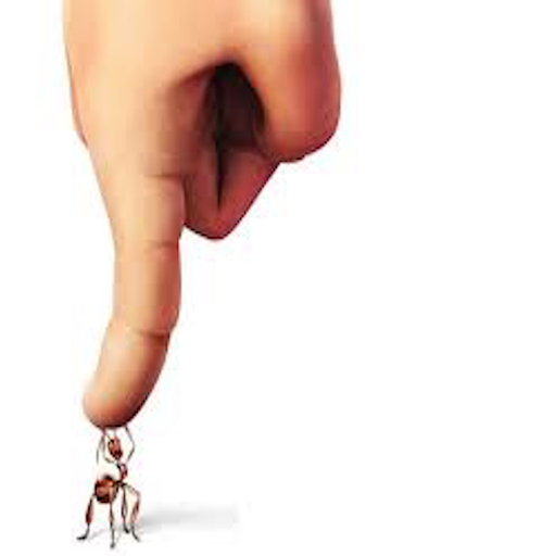 Ant | نمل app icon