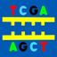 DNA2App icon