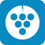 Desert Vineyard Church icon