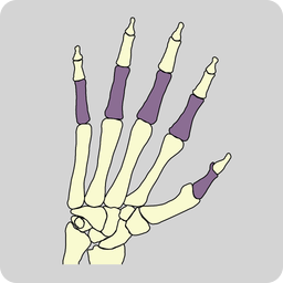 BONES logo