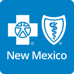 BSN logo