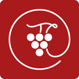 IMAV logo