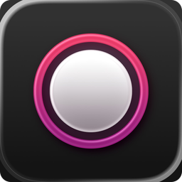 POV logo