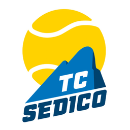 Sedic logo