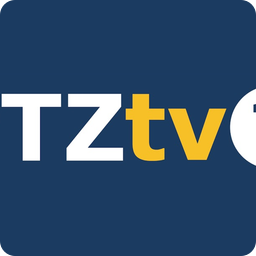 TV One logo