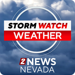 TVN logo